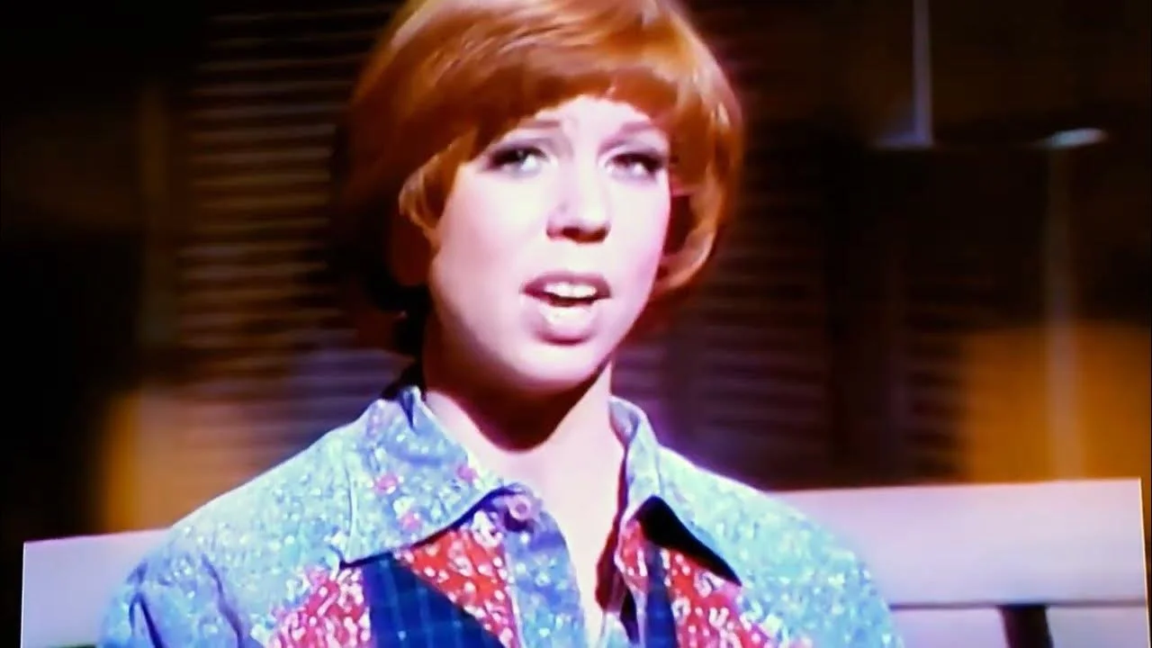 Vicki Lawrence - The Night the Lights Went Out in Georgia Lyrics