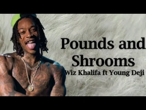 Pounds and Shrooms Lyrics – Wiz Khalifa